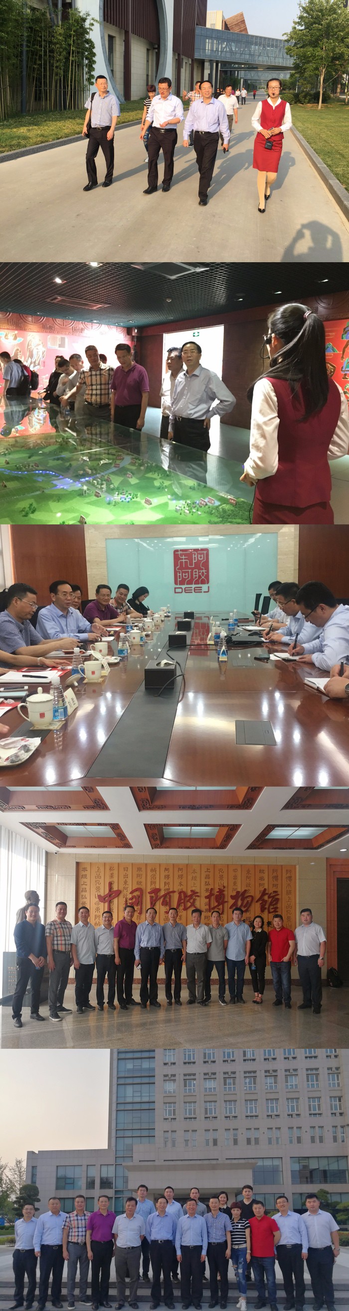 1498033254325095yrwU.jpg fileUpload63TK6F76.jpg